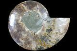 Cut Ammonite Fossil (Half) - Agatized #79164-1